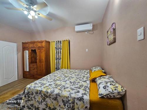 a bedroom with a bed and a ceiling fan at RefleXion Views in Belle Garden
