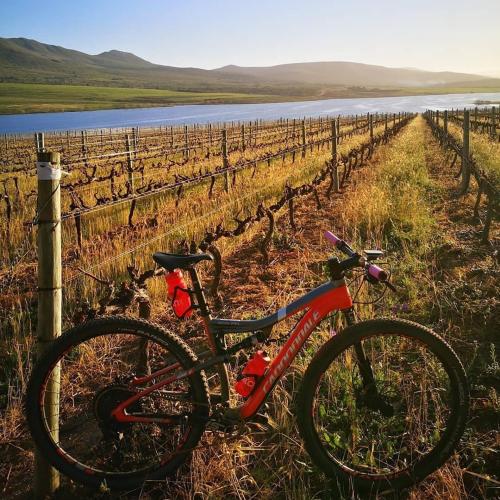 a red bike parked next to a vineyard at The Log House in Pearly Beach