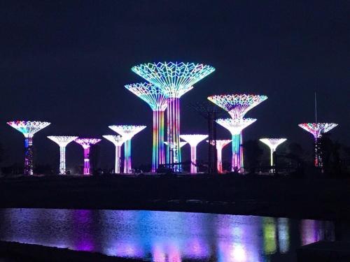 a group of trees lit up at night at Mayhomes 34m2 Vinhomes Grand Park in Long Bình