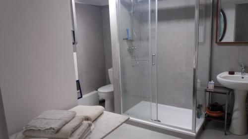 une salle de bain avec douche et lavabo dans l'établissement Grand studio de 30m2 !central !spacieux !différent !, à Cannes