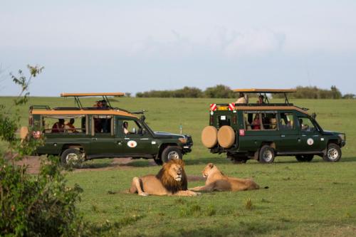 Φωτογραφία από το άλμπουμ του Soroi Mara Bush Camp σε Masai Mara