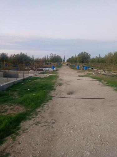 un camino vacío con muchos cubos de basura azul en الكرك - الربة, 