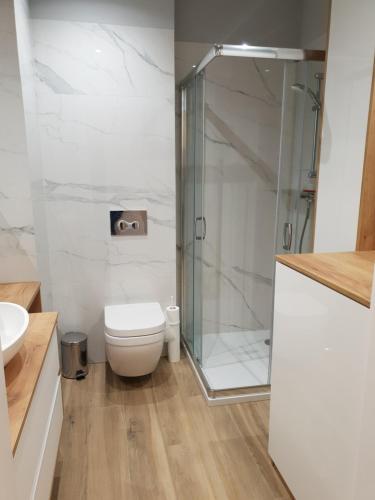 a bathroom with a toilet and a glass shower at Apartament Laguna Beskidów - Zarzecze in Zarzecze
