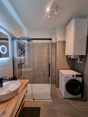 y baño con ducha, lavabo y lavadora. en Wohnfühl-Apartment "Bergkristall 08" im Almresort Sonnenalpe Nassfeld, en Hermagor