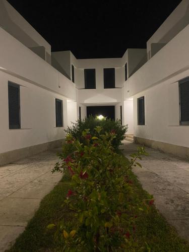 a building with a bush in the courtyard at night at Residence Altair - Serra degli Alimini in Otranto