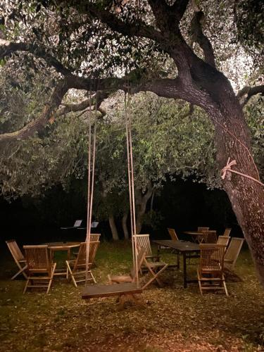 a swing under a tree with chairs and a table at Residence Altair - Serra degli Alimini in Otranto