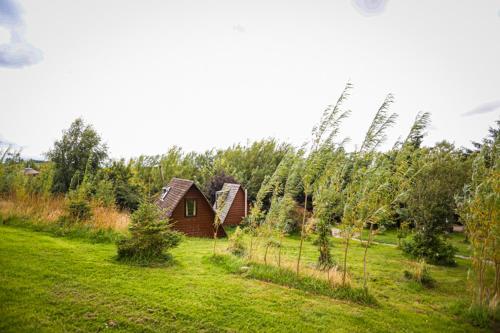 a small wooden house in a field with trees at Shepherd's Loch Glamping in Turriff
