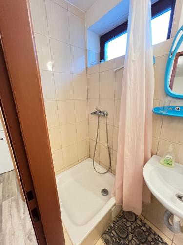 a bathroom with a shower and a sink at Ubytování Sýkora Apartments in Veľký Meder