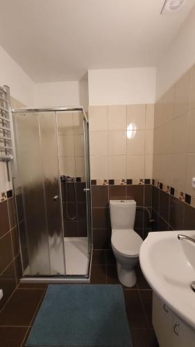ein Bad mit einer Dusche, einem WC und einem Waschbecken in der Unterkunft Penzion Bílovice in Velké Bílovice