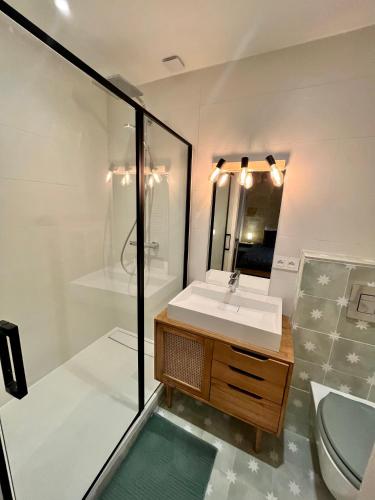 une salle de bain avec un lavabo et une douche dans l'établissement Grand studio Loft Vieux Bordeaux, à Bordeaux