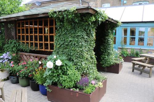 SohamにあるThe Fountainの鉢植えの植物・花の温室