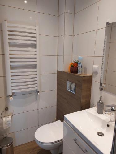 ein Bad mit einem WC und einem Waschbecken in der Unterkunft Lawendowy zakątek in Graboszyce