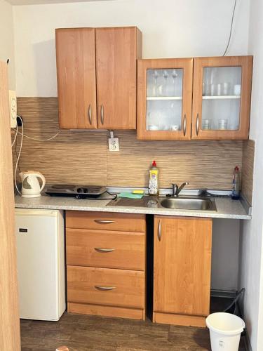 a small kitchen with wooden cabinets and a sink at Ubytování Sýkora Apartments in Veľký Meder