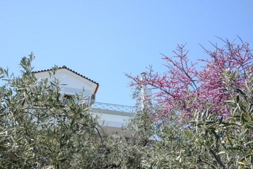 um edifício atrás de algumas árvores com flores rosas em Goddesses Villa 2 in Nies em Soúrpi