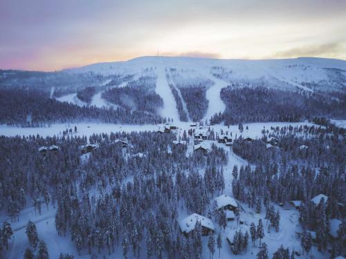 an aerial view of a snow covered mountain with trees at Villa ArcticFox Levi in Kittilä