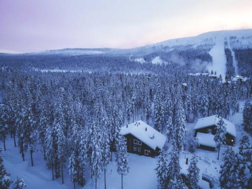 a house in the middle of a forest covered in snow at Villa ArcticFox Levi in Kittilä