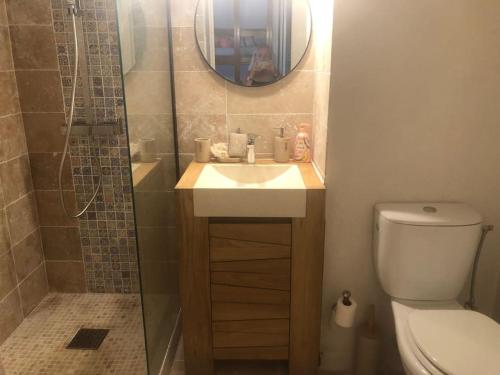 une salle de bain avec un lavabo, des toilettes et un miroir dans l'établissement Centre ville - Amiral 2 / 100m de la plage, à La Grande Motte