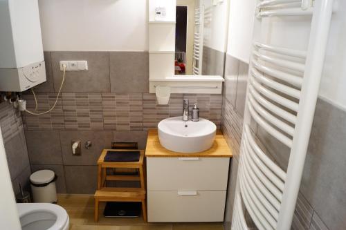 a small bathroom with a sink and a toilet at U Koniáše in Litoměřice