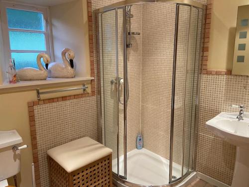 a bathroom with a shower and a toilet and a sink at The Old Schoolhouse in Morar