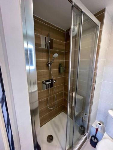 une douche avec une porte vitrée dans une salle de bain dans l'établissement Le studio Cygne Blanc hypercentre rue Riquet, à Toulouse