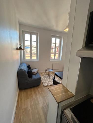 un salon avec un canapé et deux fenêtres dans l'établissement Le studio Cygne Blanc hypercentre rue Riquet, à Toulouse