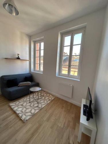 un salon avec un canapé et une table dans l'établissement Le studio Cygne Blanc hypercentre rue Riquet, à Toulouse