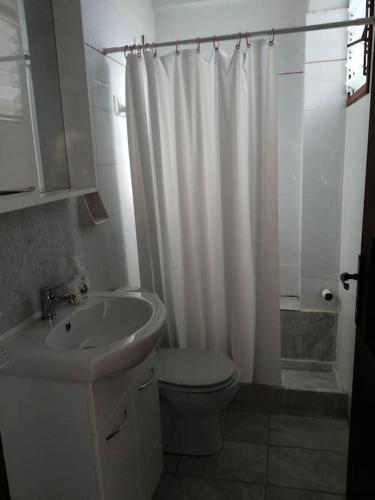 a bathroom with a white shower curtain and a toilet at Cozy Rodas House 2 in Politika