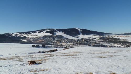 a dog laying in the snow in front of a mountain at Guest House Melusine in Loučná pod Klínovcem