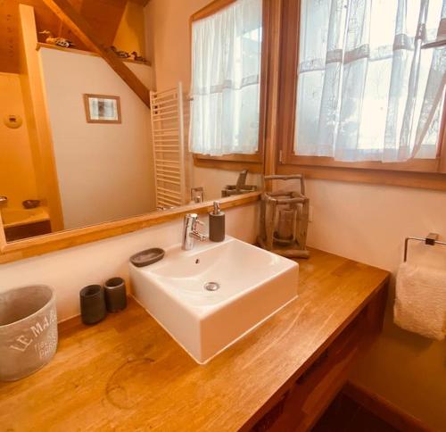 a bathroom with a white sink and a mirror at Chalet La Grange in Seytroux