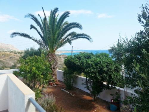 a palm tree in a garden next to a white wall at Villa Xenia in Makry Gialos