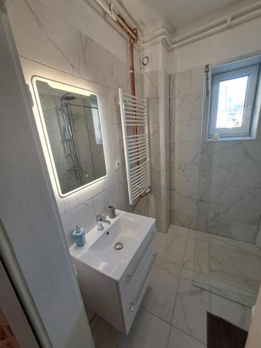 Un baño blanco con lavabo y ducha. en Apartma Aory, en Bled