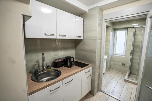 eine kleine Küche mit einem Waschbecken und einer Dusche in der Unterkunft Gogol Apartment in Szeged