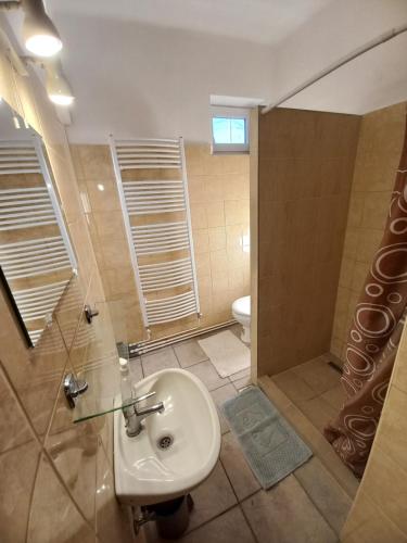 La salle de bains est pourvue d'un lavabo, d'une douche et de toilettes. dans l'établissement Aquatherma Apartman, à Sárospatak