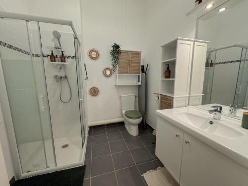 a bathroom with a shower and a sink and a toilet at Mon refuge magique à Disneyland in Chanteloup-en-Brie