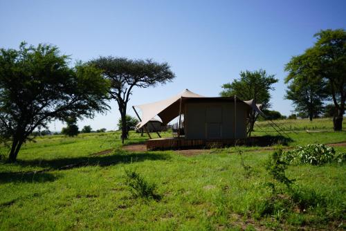 Foto dalla galleria di Anantya Serengeti a Serengeti