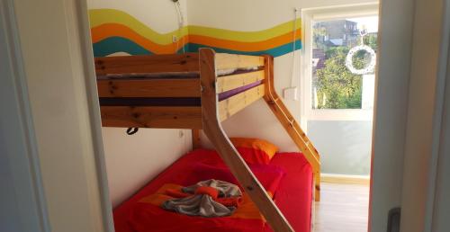 a bunk bed with a ladder in a room at Ferienhaus an der Brunnenaue 4 Sterne zertifiziert kostenlos Wlan & Netflix in Sagard