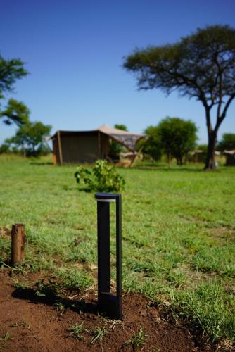 Foto dalla galleria di Anantya Serengeti a Serengeti