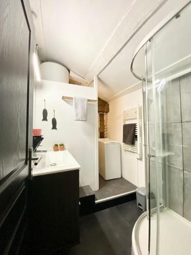 une salle de bain avec une douche, un lavabo et des toilettes dans l'établissement Bel appartement - 2 chambres - Proche du vieux marché, à La Rochelle