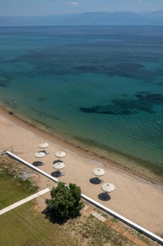 Gallery image of Greek Dream Residence in Áyios Andréas Messinias