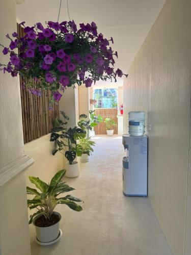 a hallway with purple flowers and potted plants at L’Oasis Nanai in Patong Beach