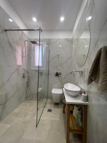 a bathroom with a shower and a toilet and a sink at Estia Alternative Apartment in Drama