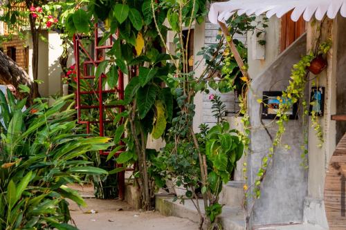 einen Garten mit Pflanzen an der Seite eines Gebäudes in der Unterkunft LaTaperaJeri Hostel in Jericoacoara