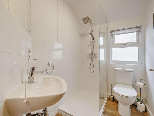 biała łazienka z umywalką i toaletą w obiekcie 2 Bed in Aberdovey 91962 w mieście Aberdyfi