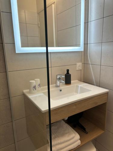 a bathroom with a sink and a mirror at Hôtel Les Charmilles in Besse-et-Saint-Anastaise