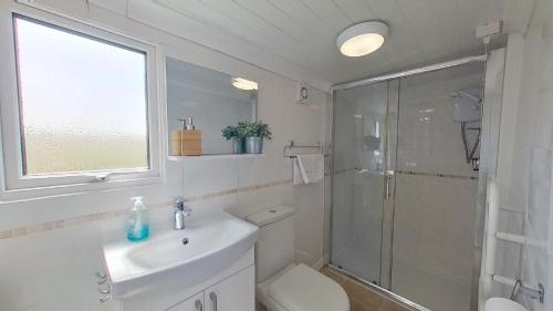 a bathroom with a shower and a toilet and a sink at G23 Norda, Riviere Towans in Hayle