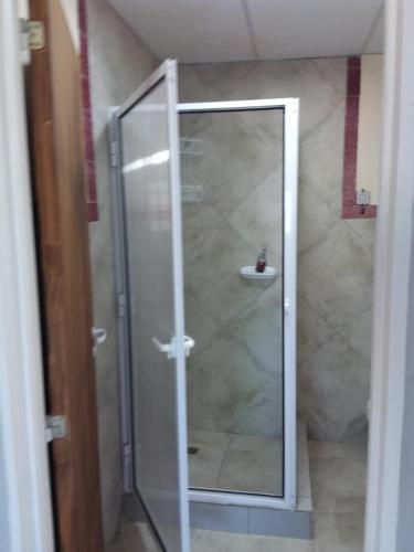 a shower with a glass door in a bathroom at Lupita 3 in General Roca