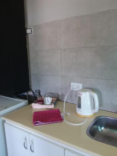 a kitchen counter with a toaster and a sink at Lupita 3 in General Roca