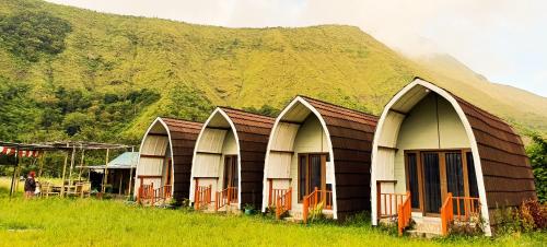 a row of huts in a field with a mountain at Tangga Bungalows in Sembalun Lawang