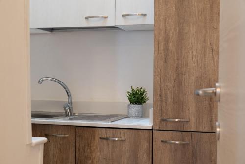 a kitchen with wooden cabinets and a sink and a plant at Villa Incanto con terrazza e piscina by Wonderful Italy in Ostuni