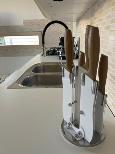 eine Küchentheke mit Spüle und Messern darauf in der Unterkunft Villetta Rovizza in San Martino della Battaglia